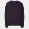 Kilsyth Men's Lambswool Jumper In Elderberry - Regular Fit