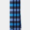 Piperhill Check Cashmere Scarf In Blue