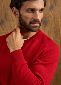 Dorset Men's Lambswool Jumper In Dubonnet - Classic Fit -Alan Paine Fashion Store Dorset Mens Lambswool Jumper Dubonnet 5
