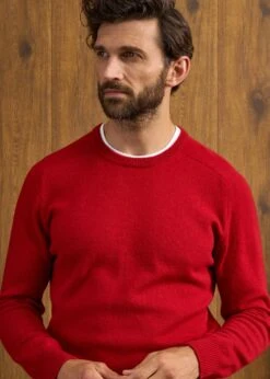 Dorset Men's Lambswool Jumper In Dubonnet - Classic Fit -Alan Paine Fashion Store Dorset Mens Lambswool Jumper Dubonnet 6
