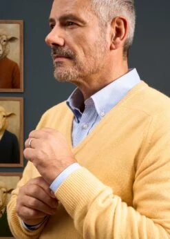 Hampshire Lambswool Jumper In Canary - Classic Fit -Alan Paine Fashion Store Hampshire lambswool jumper canary 2