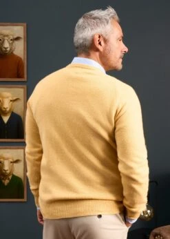 Hampshire Lambswool Jumper In Canary - Classic Fit -Alan Paine Fashion Store Hampshire lambswool jumper canary 4