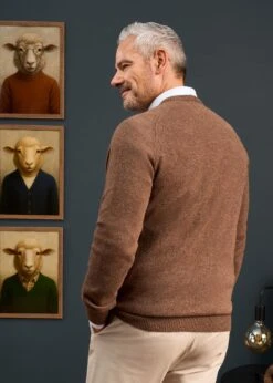 Hampshire Lambswool Jumper In Tobacco - Classic Fit -Alan Paine Fashion Store Lambswool Saddle Shoulder Tobacco Jumper 5