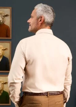 Men's Cotton Button Down Brown Shirt - Regular Fit -Alan Paine Fashion Store Mens Button Down Shirt Light Brown 5