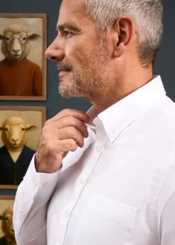 Men's Cotton Button Down White Shirt - Regular Fit 7 Men's Cotton Button Down White Shirt - Regular Fit -Alan Paine Fashion Store Mens Button Down Shirt White 2