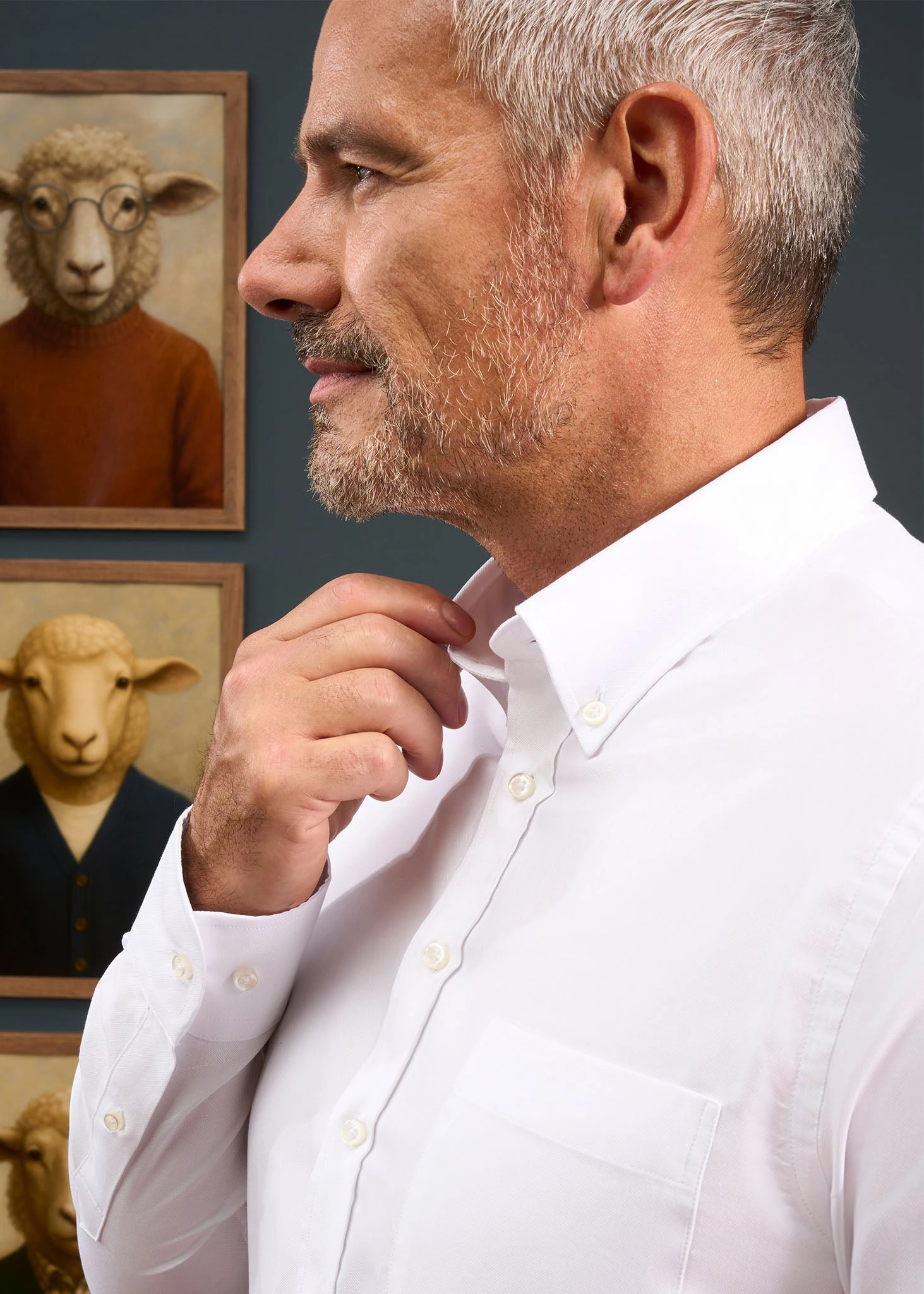 Men's Cotton Button Down White Shirt - Regular Fit 3 Men's Cotton Button Down White Shirt - Regular Fit - Image 3