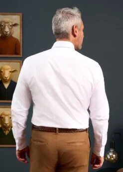 Men's Cotton Button Down White Shirt - Regular Fit 8 Men's Cotton Button Down White Shirt - Regular Fit -Alan Paine Fashion Store Mens Button Down Shirt White 3