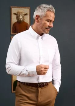 Men's Cotton Button Down White Shirt - Regular Fit 9 Men's Cotton Button Down White Shirt - Regular Fit -Alan Paine Fashion Store Mens Button Down Shirt White 5