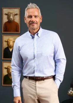 Men's Cotton Button Down Blue Striped Shirt - Regular Fit -Alan Paine Fashion Store Mens Cotton Button Down Shirt Blue Stripe2