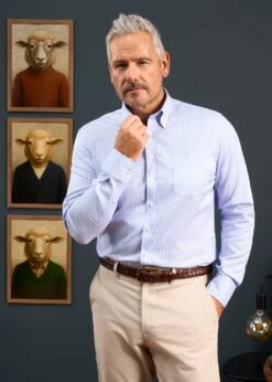 Men's Cotton Button Down Blue Striped Shirt - Regular Fit -Alan Paine Fashion Store Mens Cotton Button Down Shirt Blue Striped 3