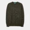 Dorset Men's Lambswool Jumper In Seaweed - Classic Fit