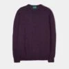 Radstone Men's Merino Wool Jumper In Black Grape - Regular Fit